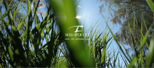 Mas de la Fouque : logo et image d'illustration