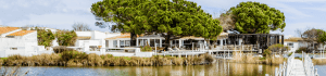 Vue panoramique de l'hôtel en Camargue Mas de la Fouque