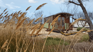 Hébergement insolite en Camargue: extérieur de la roulotte familiale MARIES au MAs de la Fouque