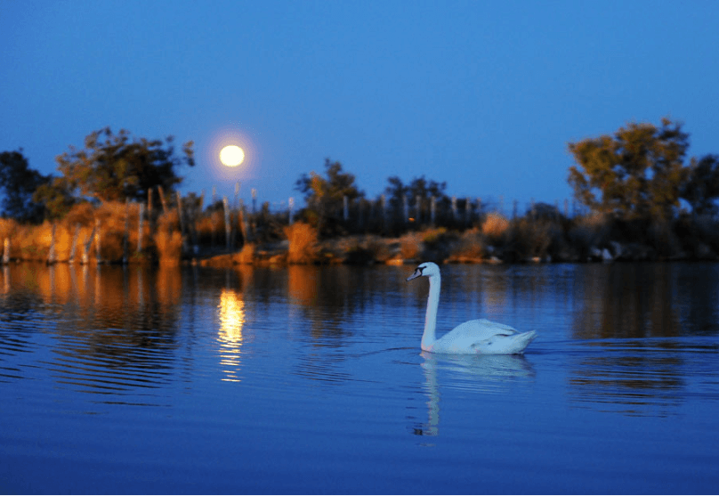 news romantic 1 | Mas de la Fouque | Hotel & Spa en Camargue