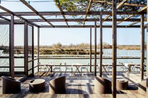 Terrasse du restaurant en Camargue Marius à l'Hotel Mas de la Fouque