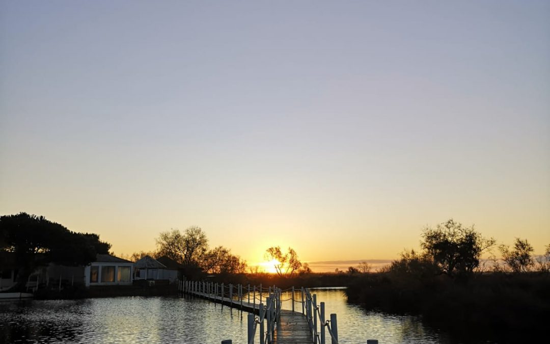 Vue extérieur soleil couchant - Hotel en Camargue Mas de la Fouque