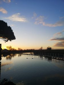 Vue extérieur soleil couchant - Hotel en Camargue Mas de la Fouque