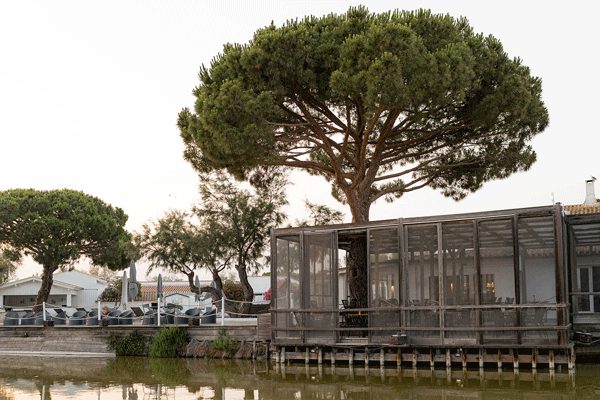 Restaurant la Table de Marius en pleine Camargue