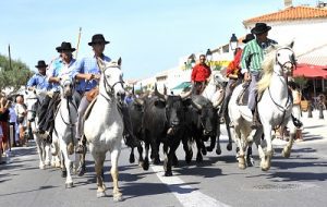 Abrivado Camargue