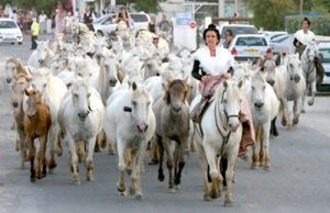 Paques Camarguaises