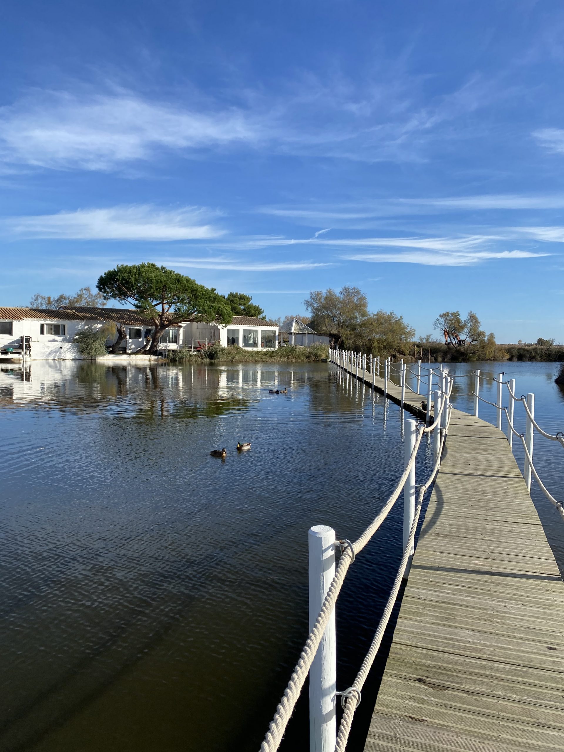 img 0261 scaled | Mas de la Fouque | Hotel & Spa en Camargue