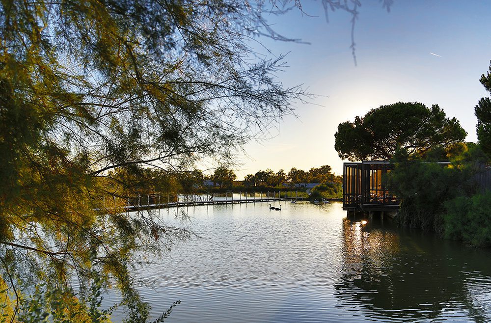 Photo terrasse restaurant gastronomique Camargue Marius Hôtel Spa Camargue Mas de la Fouque