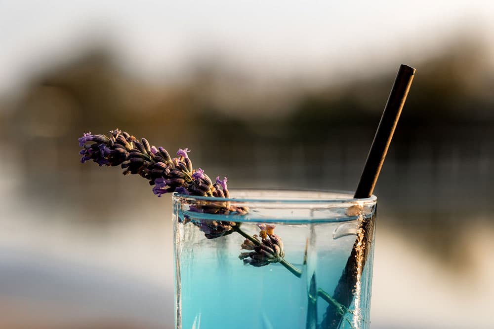 Zoom sur un cocktail de couleur bleue contenant de la lavande