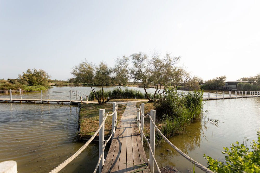 exterieurs-web Vue sur les pontons du Mas de la Fouque, au-dessus des marais