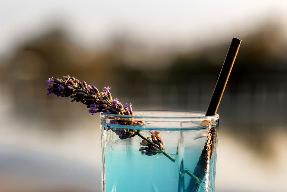 cocktail-web Cocktail