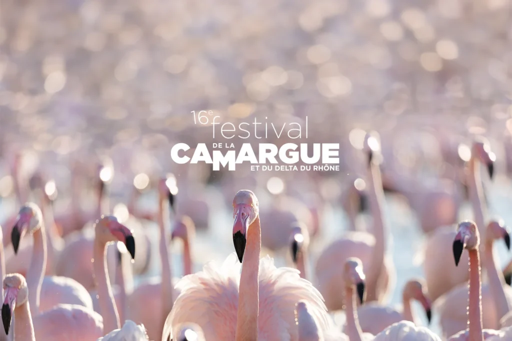 Camargue Festival